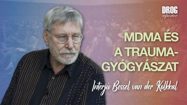 MDMA ÉS A TRAUMAGYÓGYÁSZAT: Interjú Bessel van der Kolkkal